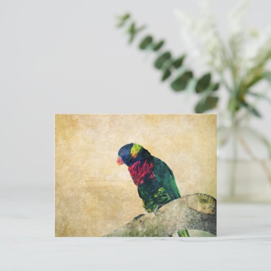 Lorikeet Postcard Postkarte (Stehend Vorderseite)