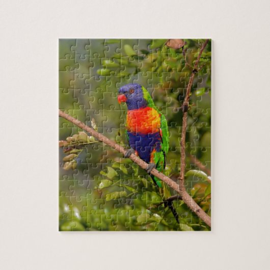 Lorikeet Puzzle (Vertikal)