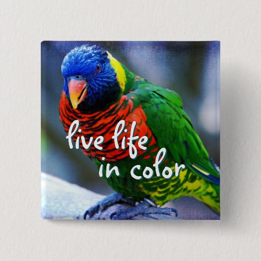 Lorikeet Rot-Grün-Vogel leben in Farbe Button (Vorderseite)