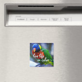 Lorikeet Rot-Grün-Vogel leben in Farbe Magnet (In Situ (Geschirrspüler))