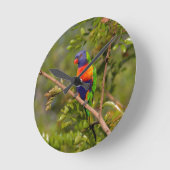 Lorikeet Runde Wanduhr (Winkel)