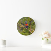 Lorikeet Runde Wanduhr (Zuhause)
