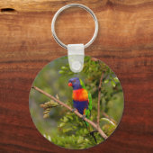 Lorikeet Schlüsselanhänger (Vorderseite)