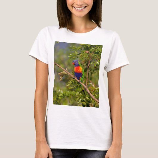 Lorikeet T-Shirt (Vorderseite)