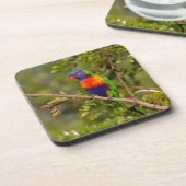 Lorikeet Untersetzer (Linke Seite)