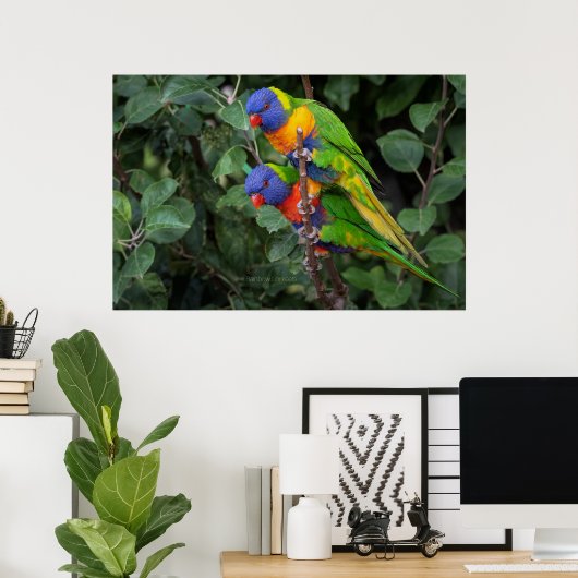 Lorikeets, farbenfrohe Papageien, Poster (Heimbüro)