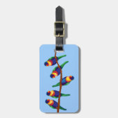 Lorikeets Gepäckanhänger (Vorderseite vertikal)