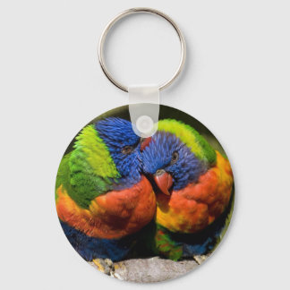Lorikeets in Liebe Schlüsselanhänger