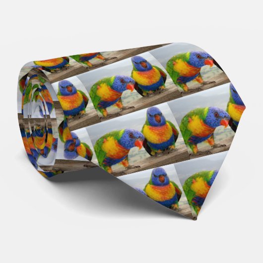 Lorikeets Krawatte (Gerollt)