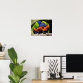 Lorikeets Poster (Heimbüro)