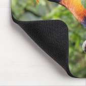 Lorini, Papagei Mousepad (Ecke)