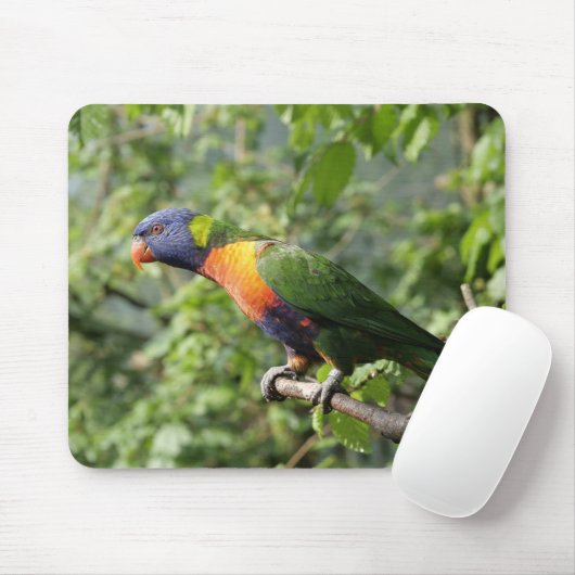 Lorini, Papagei Mousepad (Mit Mouse)