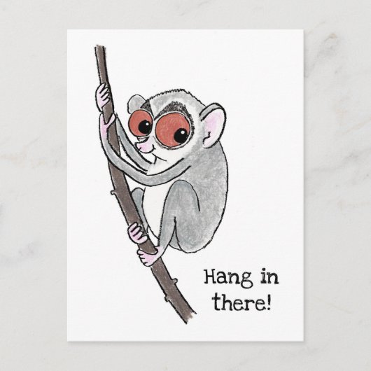 Loris 'hang in there' Postkarte (Vorderseite)