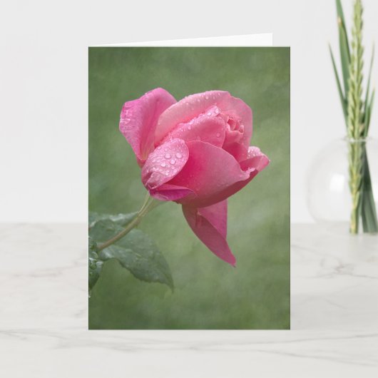 Lorraine Lee Rose Karte (Vorderseite)