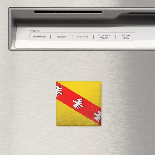 Lorraine Magnet (In Situ (Geschirrspüler))