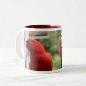 Lory-Tasse Zweifarbige Tasse (Vorderseite Links)
