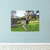 Los Altos Hills Leinwanddruck (Insitu (Holzboden))