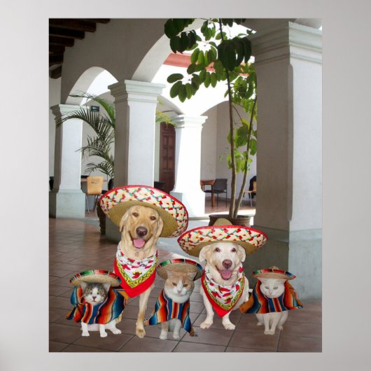 Los amigos poster (Vorne)