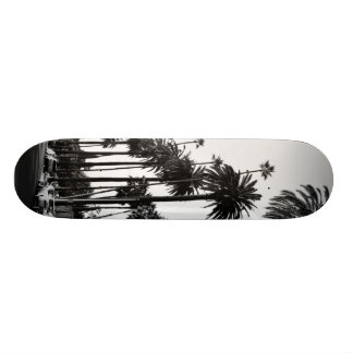 Los Angeles Beverly Hills Palmen Skateboard