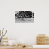 Los Angeles, CA Straußenfarm Cart Scene Poster (Küche)