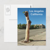 Los Angeles Cool Tree Postcard! Postkarte (Vorne/Hinten)