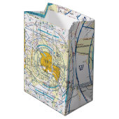 Los Angeles Flyway Chart Mittlere Geschenktüte (Vorderseite Schrägansicht)