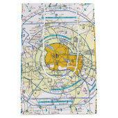 Los Angeles Flyway Chart Mittlere Geschenktüte (Rückseite)