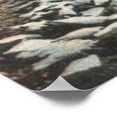 Los Angeles, KalifornienAussicht auf eine Taubenfa Poster (Ecke)