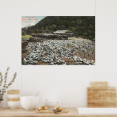 Los Angeles, KalifornienAussicht auf eine Taubenfa Poster (Küche)