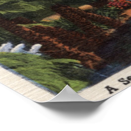 Los Angeles, KalifornienEine wunderschöne Parkland Poster (Ecke)