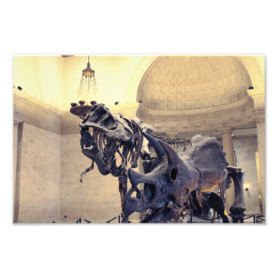 Los Angeles Naturkundemuseum Fotodruck