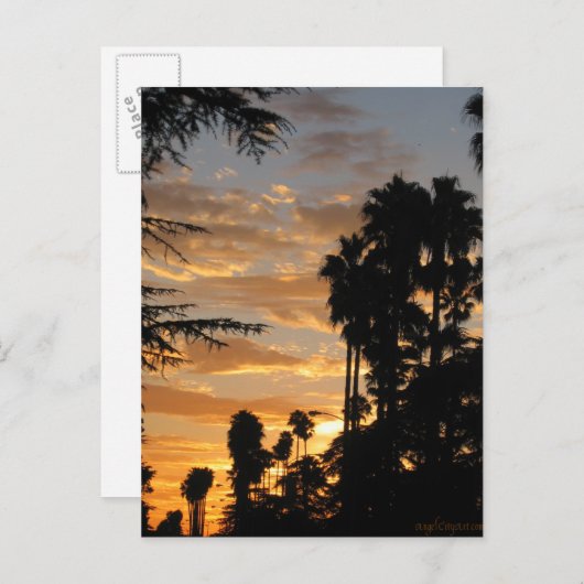 Los Angeles Palm Tree Sunset Postcard Postkarte (Vorne/Hinten)