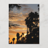 Los Angeles Palm Tree Sunset Postcard Postkarte (Vorderseite)