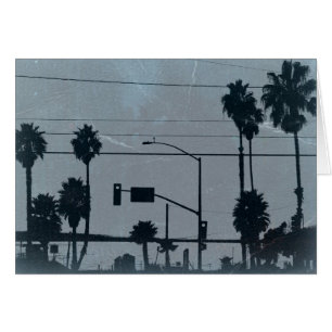 Los Angeles Palm Trees