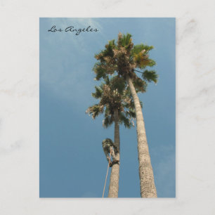 Los Angeles Postcard Spaß! Postkarte