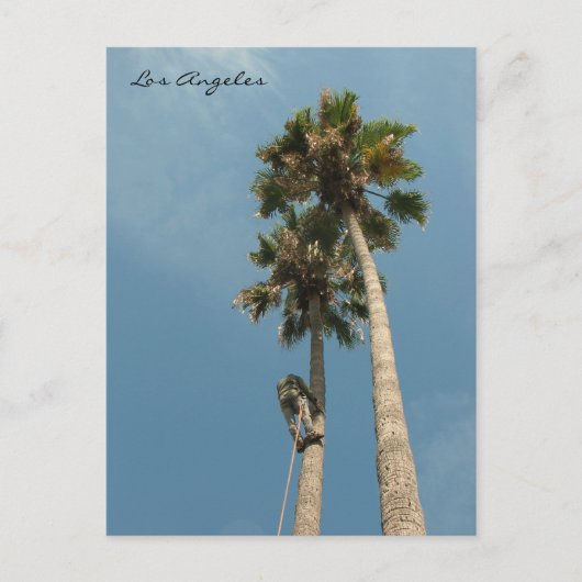 Los Angeles Postcard Spaß! Postkarte (Vorderseite)