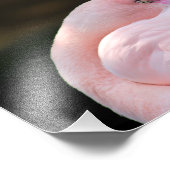 Los Angeles Zoo Fotodruck (Ecke)