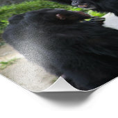 Los Angeles Zoo Fotodruck (Ecke)
