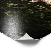 Los Angeles Zoo Fotodruck (Ecke)