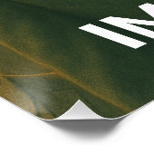 Los Gatos No Pagan Impuestos Poster (Ecke)