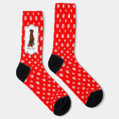 Los geht's! Flat-Coated Retriever Hund (leberfarbe Socken (Rechts)