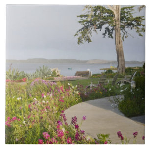 Los Osos und Baywood Park vereint Fliese