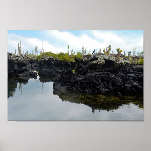 Los Tuneles auf den Galapagos-Inseln Poster (Vorne)