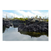 Los Tuneles auf den Galapagos-Inseln