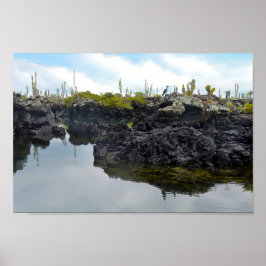 Los Tuneles auf den Galapagos-Inseln Poster