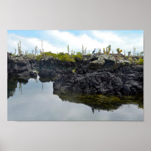 Los Tuneles auf den Galapagos-Inseln Poster