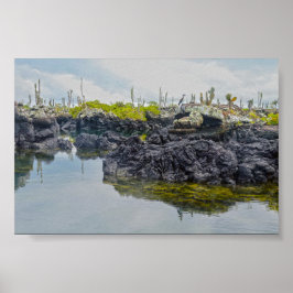 Los Tuneles, Galapagos Inseln, Ecuador Poster