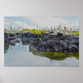 Los Tuneles, Galapagos Inseln, Ecuador Poster
