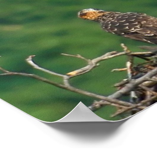 Löschen Sie die Piste. Poster (Ecke)