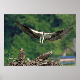 Löschen Sie die Piste. Poster